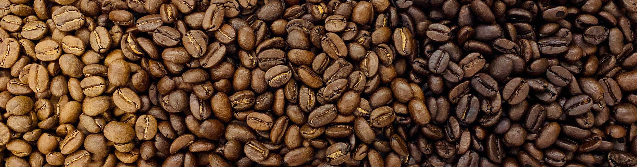 What is the Difference Between Light, Medium, and Dark Roast 